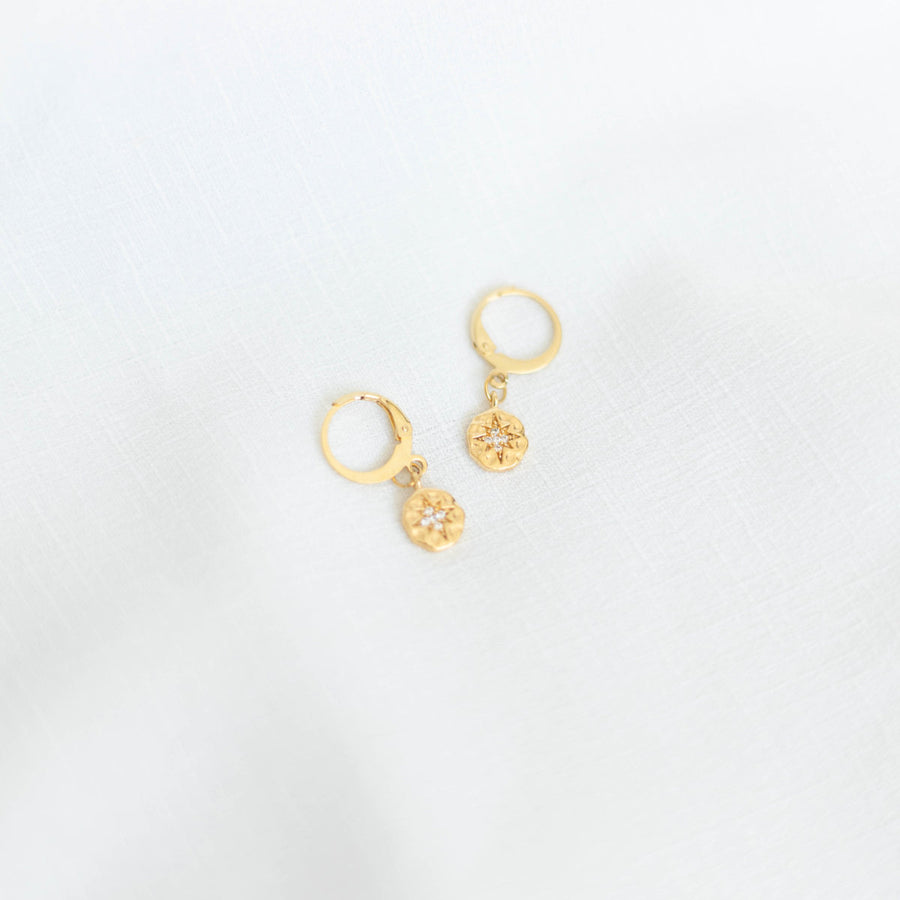 Springsale 26 - Sparcle Coin