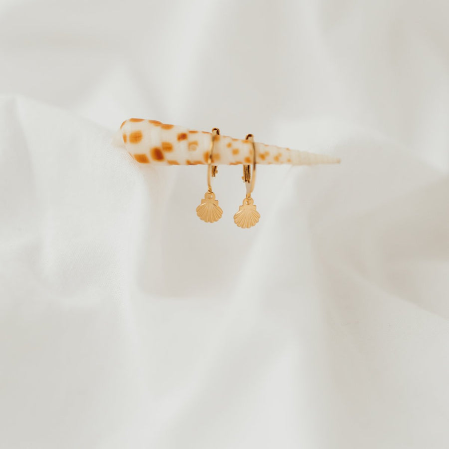 Shell Hoops | Ohrringe für €19.99 von So Loved Manufacture